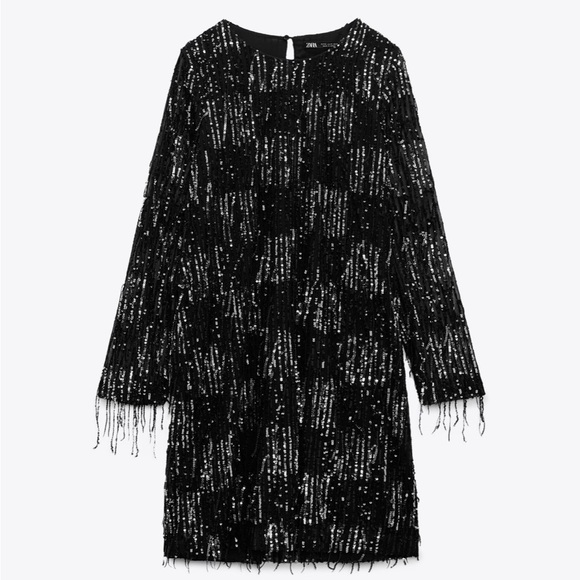 Zara sequin fringe mini party dress - Picture 2 of 3